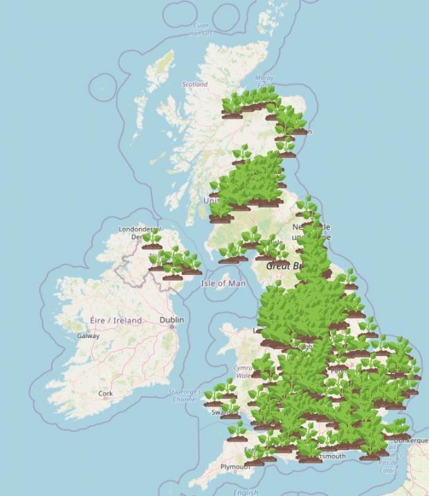 The Argus: A map of hogweed in the UK