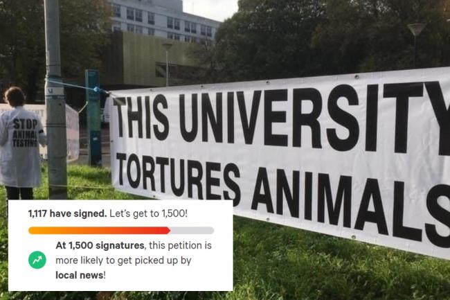 Petition for Brighton uni to stop animal experiments hits 1,000 | The Argus
