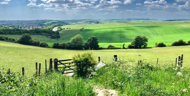 The Argus: The South Downs Way ranked tenth in the top 50 most beautiful hiking trails in the world 