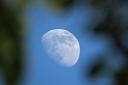 The moon is a subject of myth and legend. Picture: Brian Smith