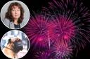 Labour's Nancy Platt said more needs to be done to protect pets from fireworks