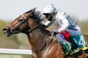 Palace Pier will miss next week’s Qatar Sussex Stakes at Goodwood