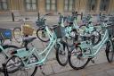 Brighton's bike-sharing scheme will be halted until next year