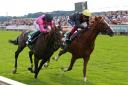 Stradivarius (right) beats Spanish Mission by a head to win his third Lonsdale Cup at York this afternoon.