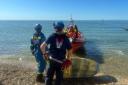 Rescuers search for the kayaker