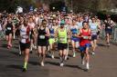 Brighton Marathon organisers have given notice of their intention to appoint administrators.