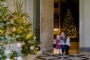 Petworth House has revealed its theme for its Christmas decorations this year (picture shows last year's decorations)