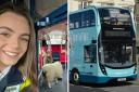 All a-BAA-oard – Sheep boards bus to safety after causing 'havoc' in a main road