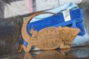 A bearded dragon was abandoned in Hailsham