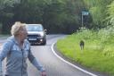 Motorists and passers-by were surprised to see the wallaby along the side of the road in Lower Beeding