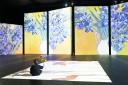 A toddler looking at images from the Van Gogh Alive experience
