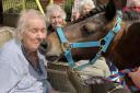 Care home residents were overjoyed by a visit from Rolo the pony