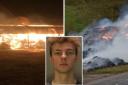 Joshua Brinkley, pictured, and Connor Luck have been sentenced for multiple fires across Sussex