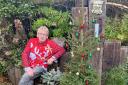 Geoff and his potted Christmas trees
