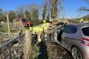 Firefighters rescued a person from a car after it was crushed by a tree