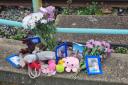 Tributes for a dog who was killed on an electric railway on Friday