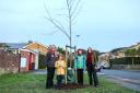 New sponsored trees are being planted across Worthing
