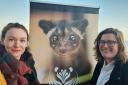 The charity has been set up by two Sussex women to stop civets being exploited by the luxury coffee industry