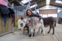 Claudia Nicholson with Tom the donkey