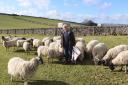 CONFIDENCE: Jane Bassett said farmer confidence is at an all time low