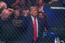 Donald Trump attended a UFC fight (Frank Franklin II/AP)