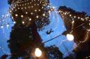 Christmas tree lights at Wakehurst Place, Ardingly