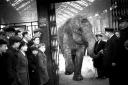 Nellie the elephant leaving Brighton station circa 1935
