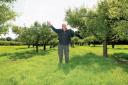 Tony Eales and his orchard