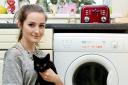 Phoenix the cat from Arundel survives tumble dryer trip