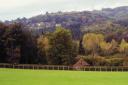 Lodsworth village nestled in Sussex woodland