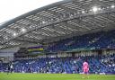 Albion have back-to-back dates at the Amex in August