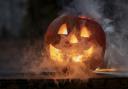 There are events for the whole family taking place across Sussex this Halloween