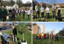Volunteers played their part in the tree planting events across Brighton