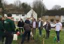 One of many of the council's tree planting initiatives in Bevendean