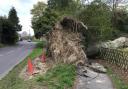 A huge fallen tree in Nutley, East Sussex, is causing chaos for residents