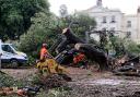 A Holm Oak in Brighton is being cleared away after it fell yesterday afternoon