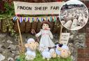 Findon Sheep fair is returning