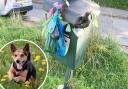 People have reported dog poo bins not being emptied in Patcham