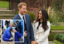 The trailer for Netflix docuseries Harry and Meghan appears to use footage from a Katie Price court appearance, inset. Inset is press image from same court appearance