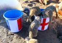 The 'mystic' meerkats are back with their psychic predicting powers