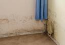 Adur District COuncil spent almost £300,000 tackling mould and damp in its properties