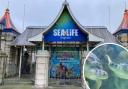 A protest will be held outside the Sealife Centre in Brighton