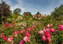 The stunning gardens and mansion are open to visitors for a special anniversary