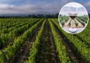 Ridgeview has won a global wine award