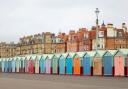 This great shot of the beach huts is today's picture of the day