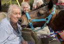 Care home residents were overjoyed by a visit from Rolo the pony