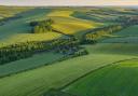 44 per cent of the city's land is South Downs
