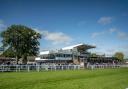 Plumpton will sign off for the season in style