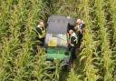 They found the vehicle in the middle of a corn field
