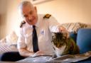 Dermot Murphy with rescue cat
